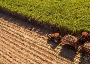 Os desafios de inovação para o agronegócio