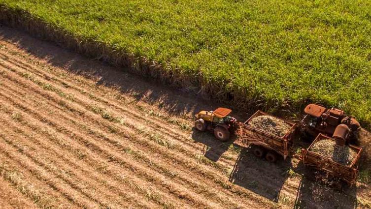 Os desafios de inovação para o agronegócio