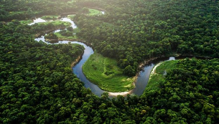 Tecnologia pode ajudar a evitar desmatamento da Mata Atlântica