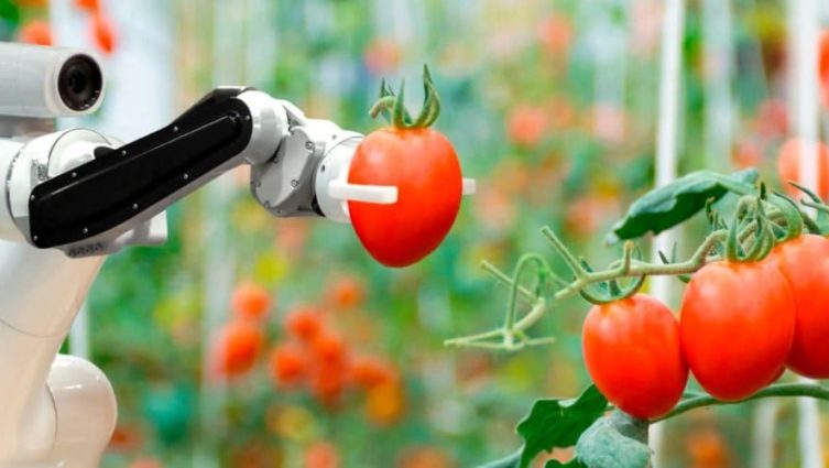 Como um robô que se autocura pode beneficiar a sua empresa