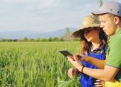 Internet das Coisas conheça 4 casos de uso da tecnologia na agricultura