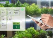 Por que você deve olhar para a Internet das Coisas (IoT)