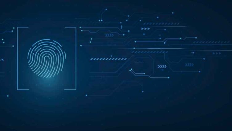 No Dia Internacional da Privacidade de Dados, confira dicas de especialistas para proteger o seu negócio