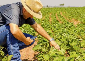 As oportunidades de inovação no agronegócio