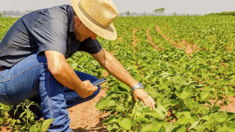 As oportunidades de inovação no agronegócio