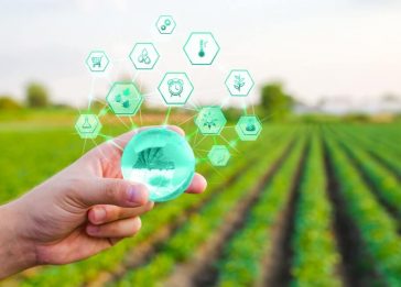 5G agronegócio