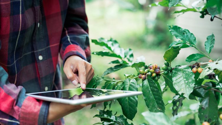 inteligencia artificial alimentos