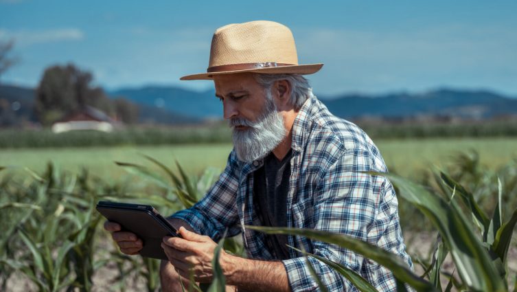 conectividade rural