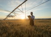 tecnologia no campo Inteligência Artificial Meio ambiente Agricultura de precisão