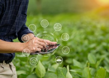 indice de produtividade tecnológica