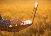 conectividade rural