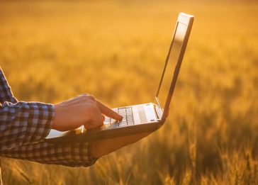 conectividade rural