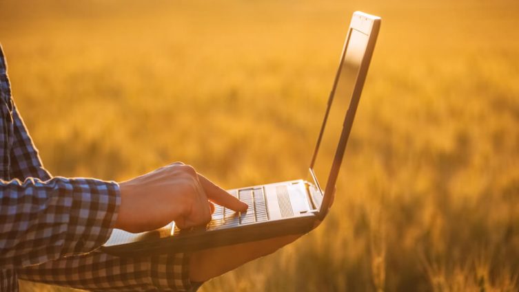 conectividade rural