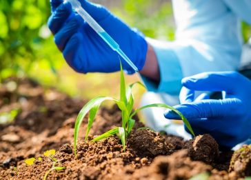 agricultura molecular